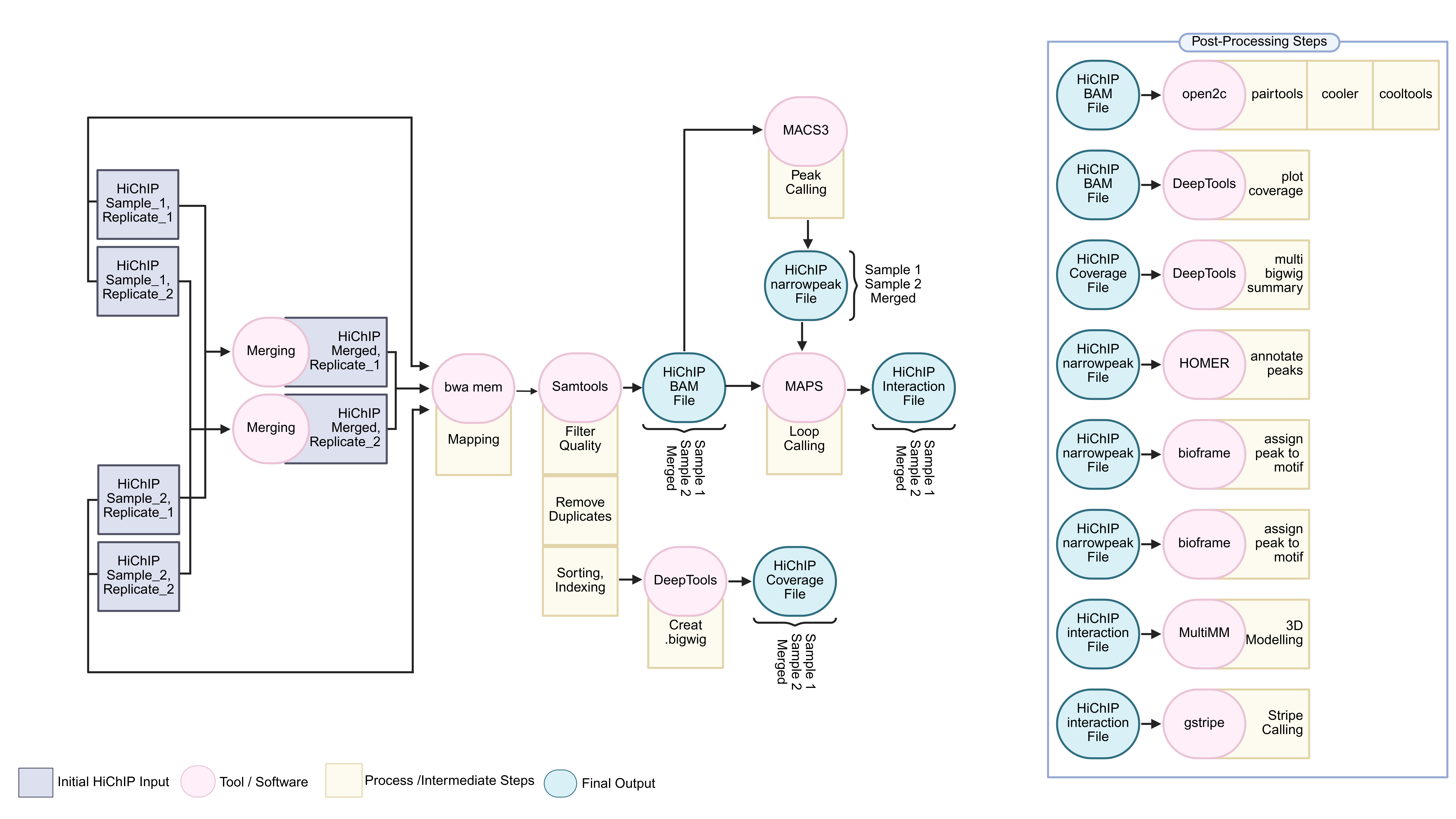 Case 1 Workflow
