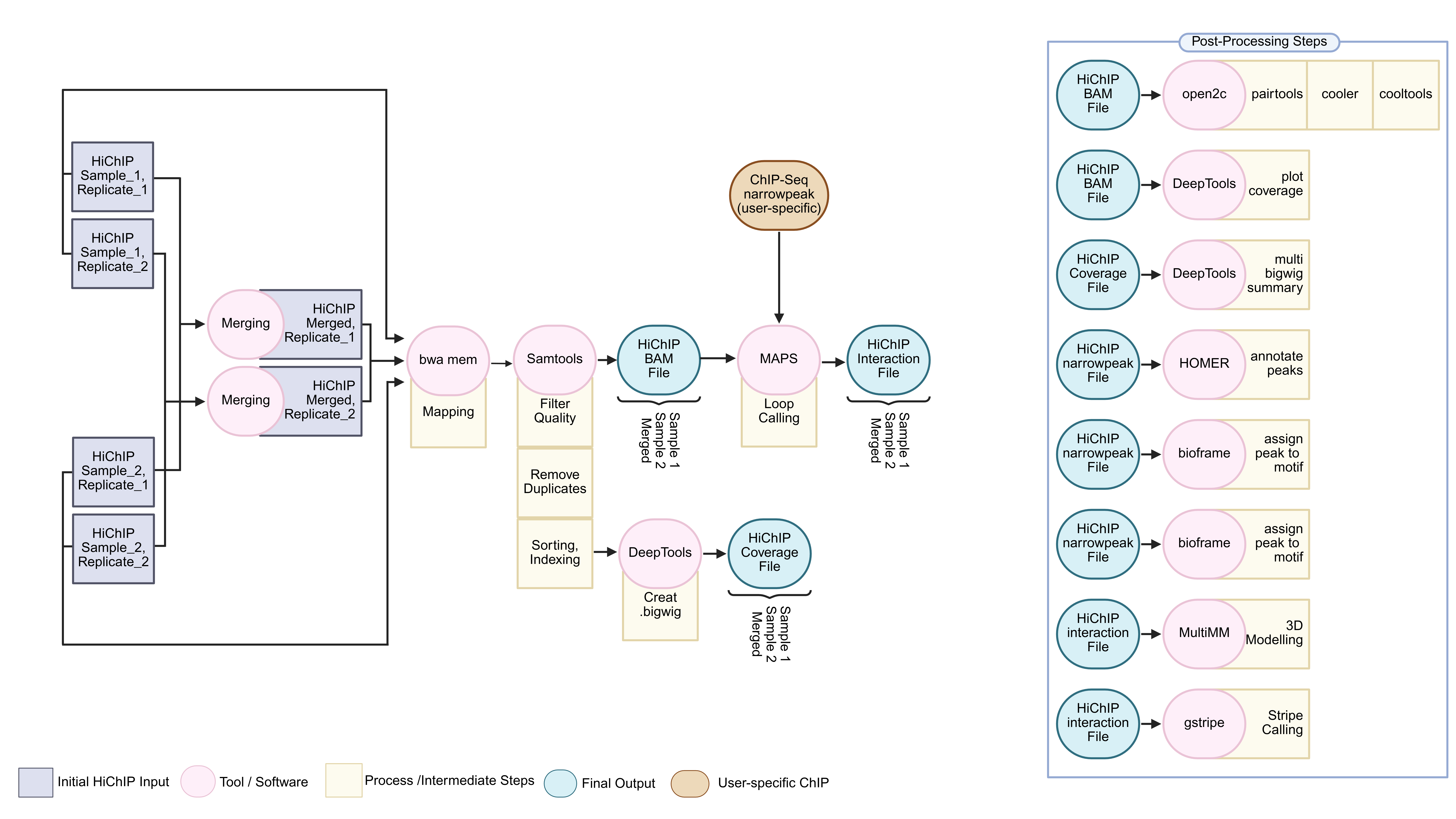 Case 2 Workflow