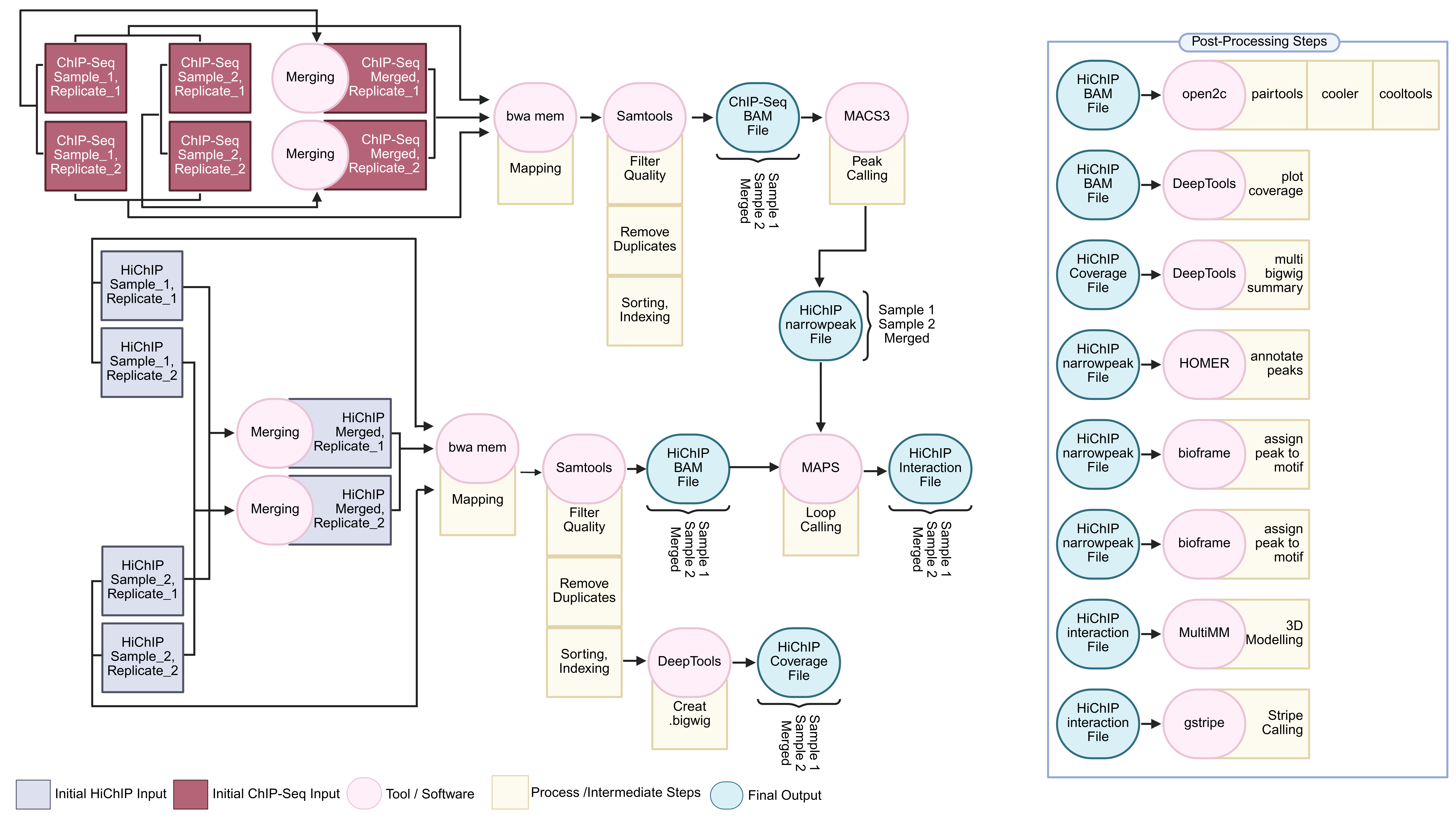 Case 3 Workflow