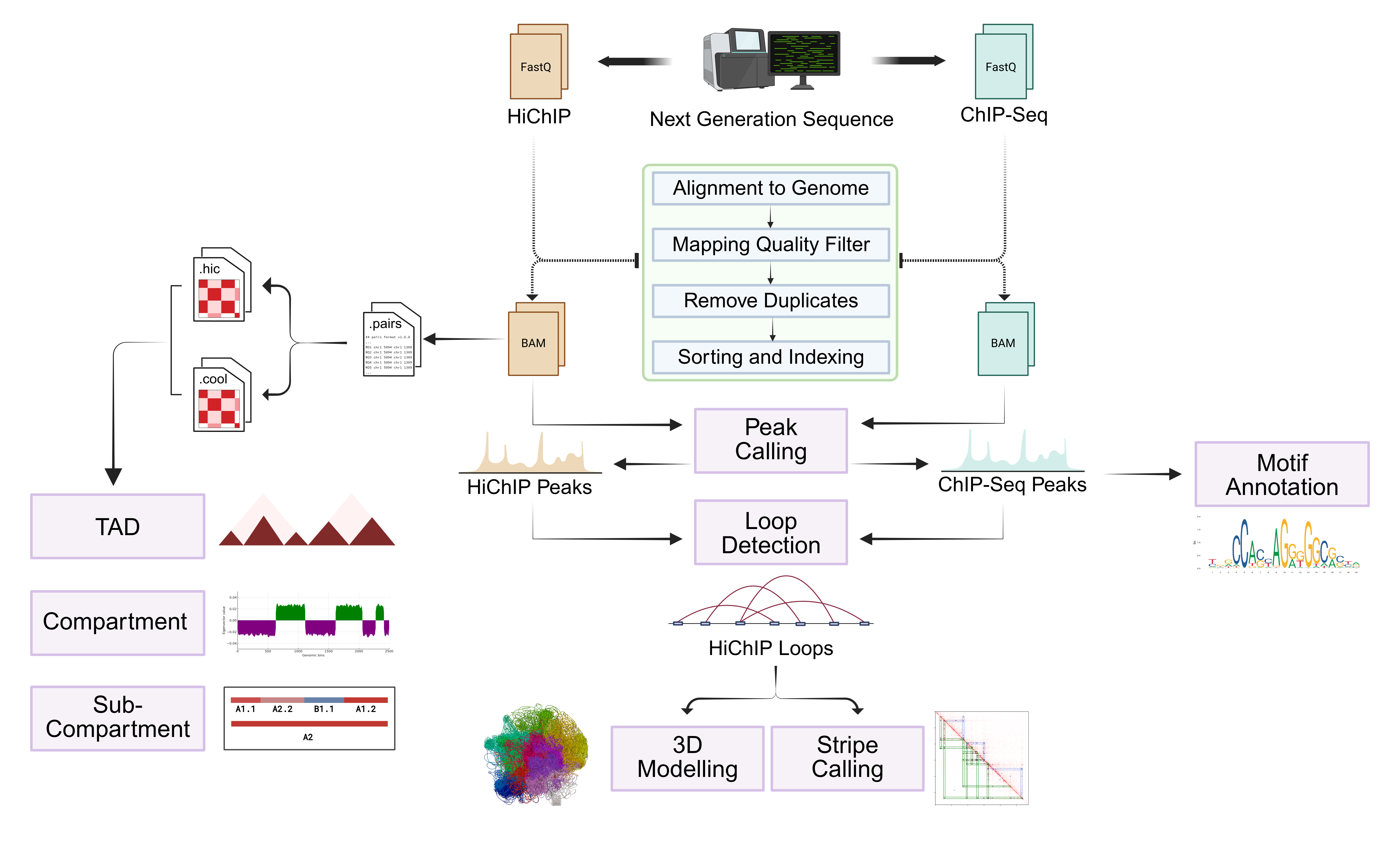 dcHiChIP workflow